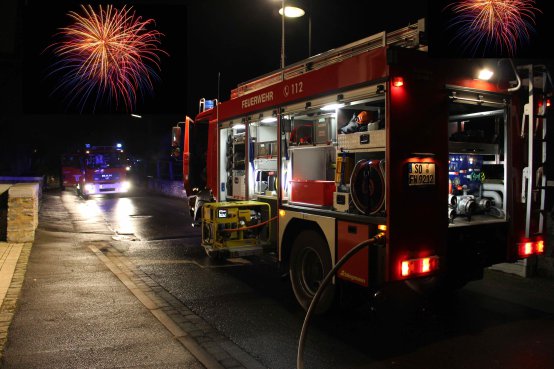 IMG_4536_SIlvester.jpg