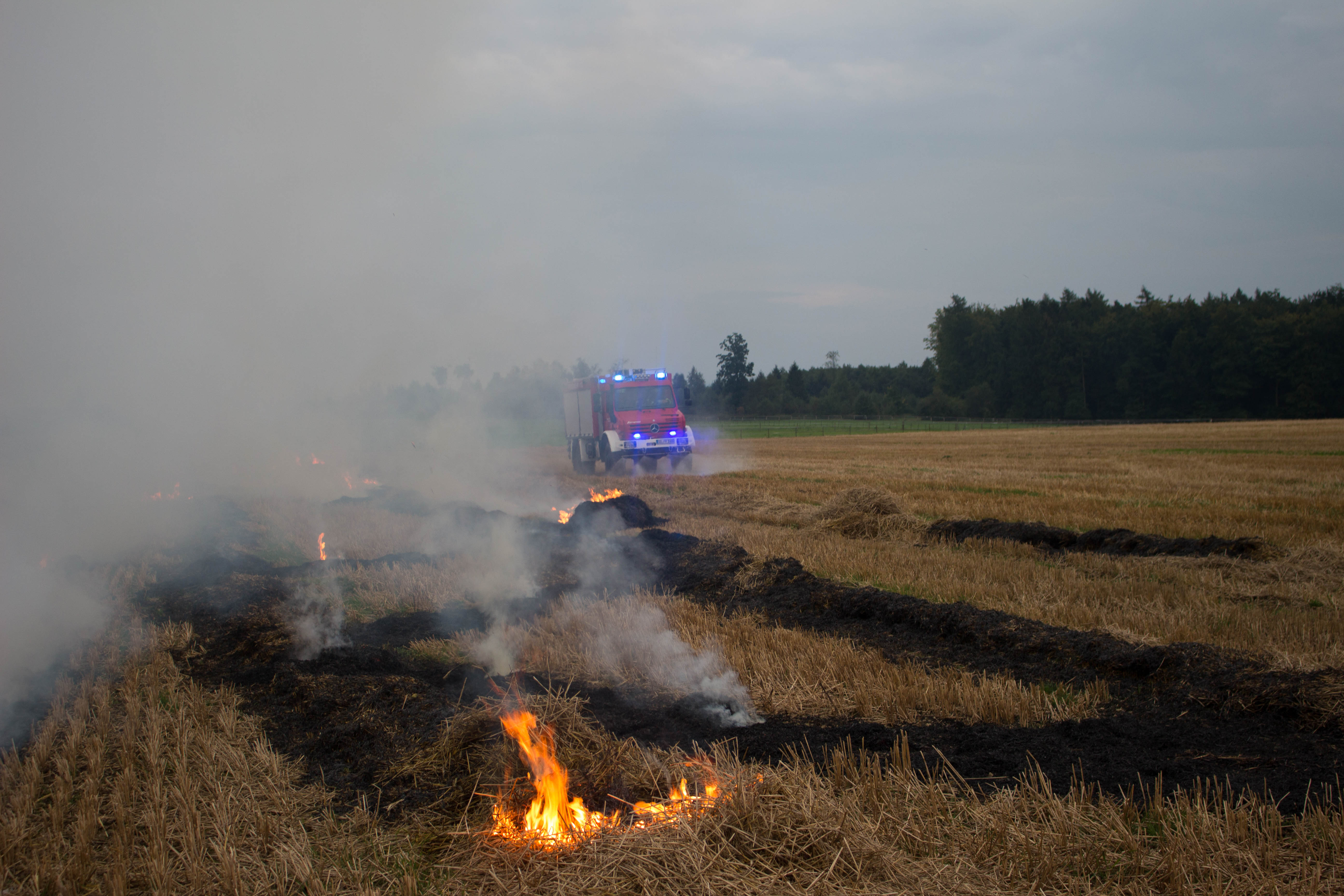 2017 09 06 Zuguebung 2