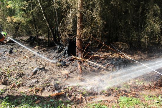 2020 04 23   Waldbrand 2